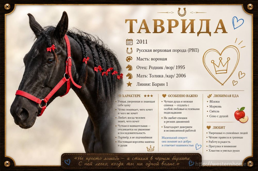 Фото сделано нами. 1. Таврида