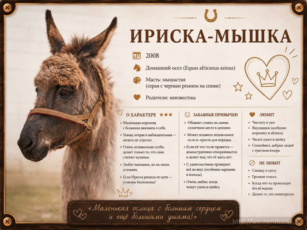 Фото сделано нами. iriska-myshka