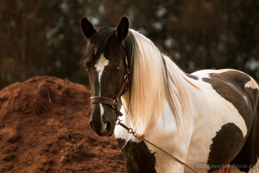 Фото сделано нами. 072125_7