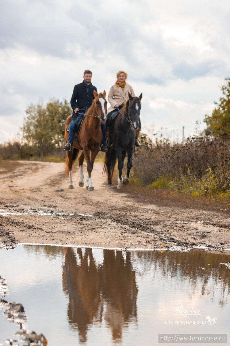 Фото сделано нами. 86