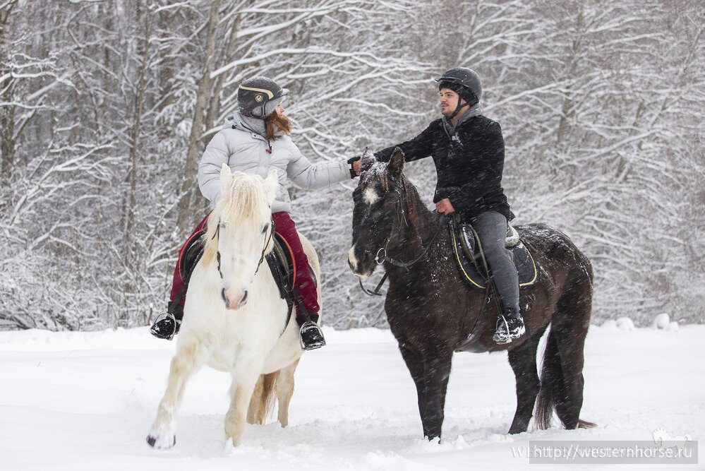 Фото сделано нами. 104