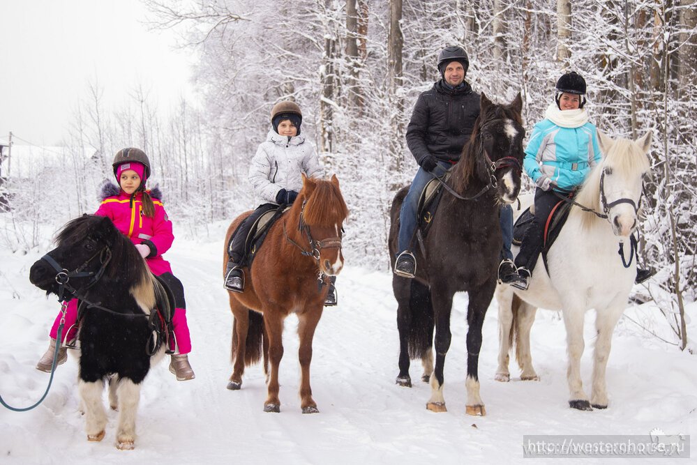 Фото сделано нами. 10