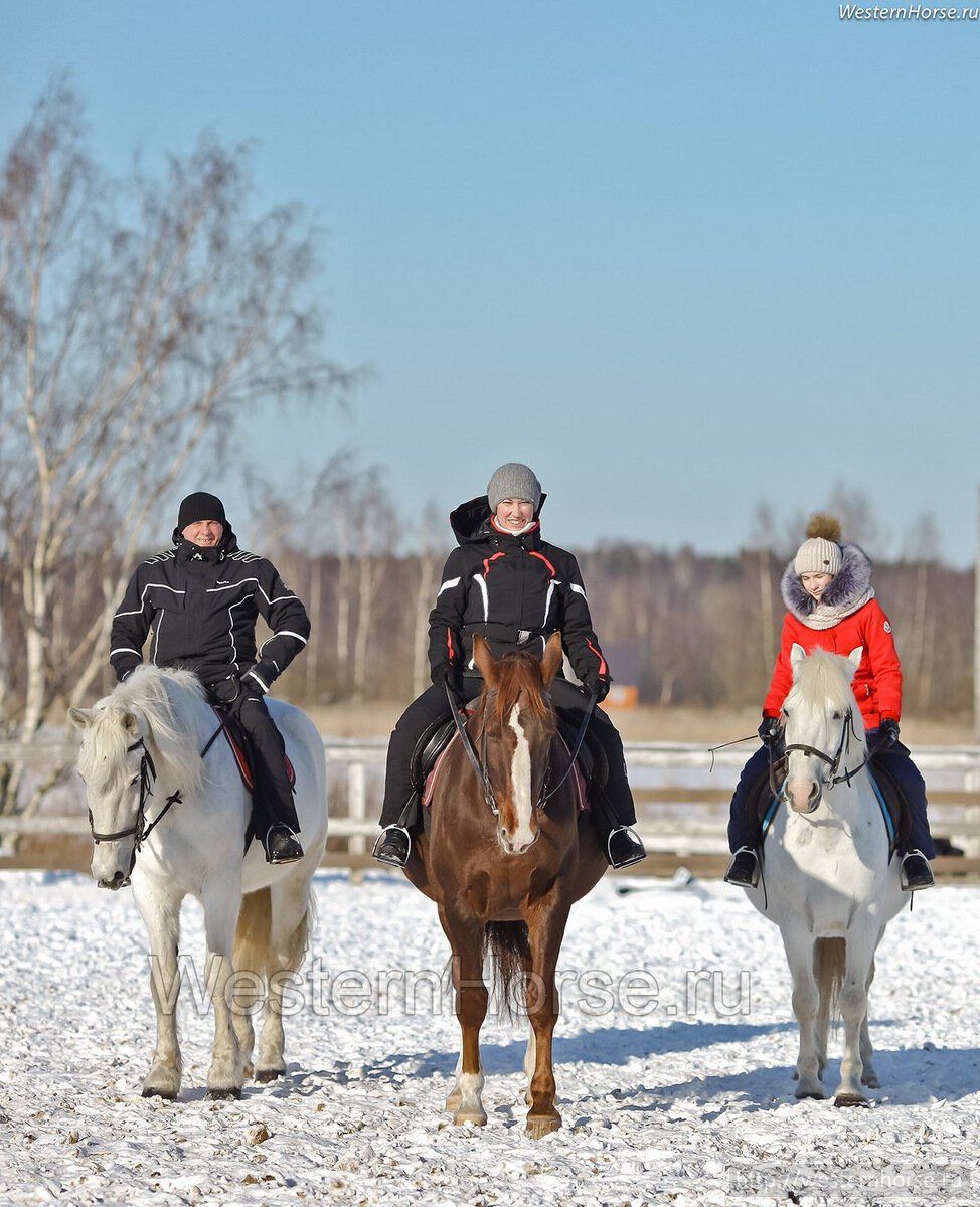 Фото сделано нами. 2