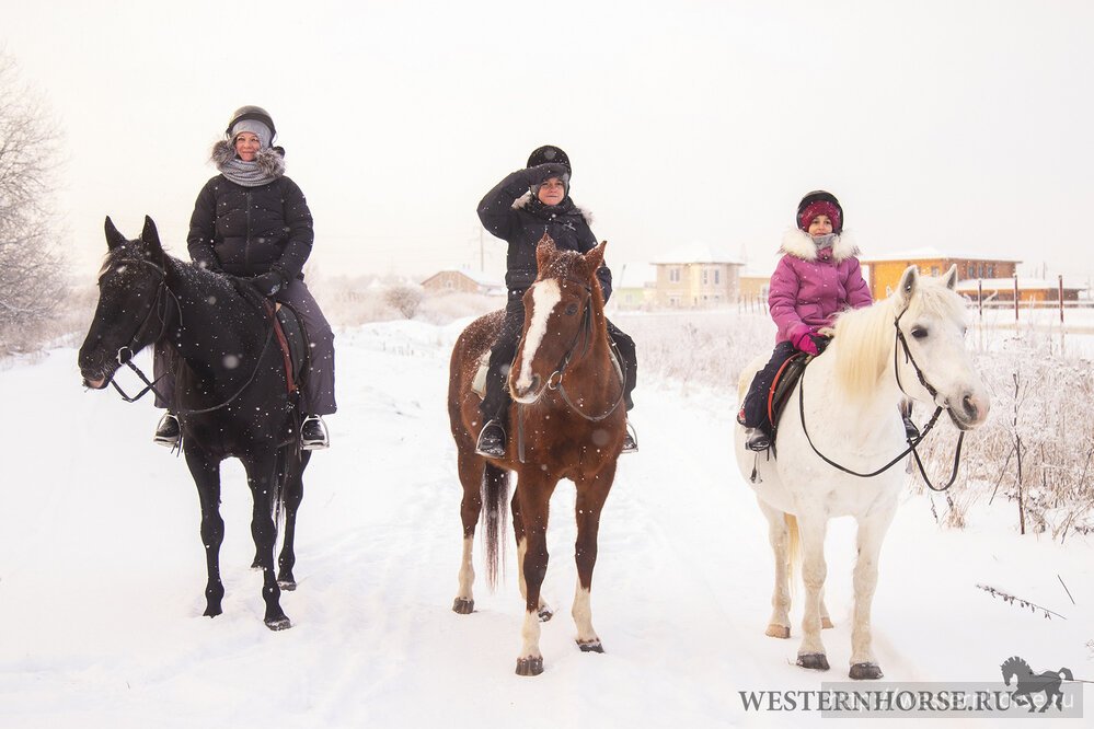 Фото сделано нами. 42