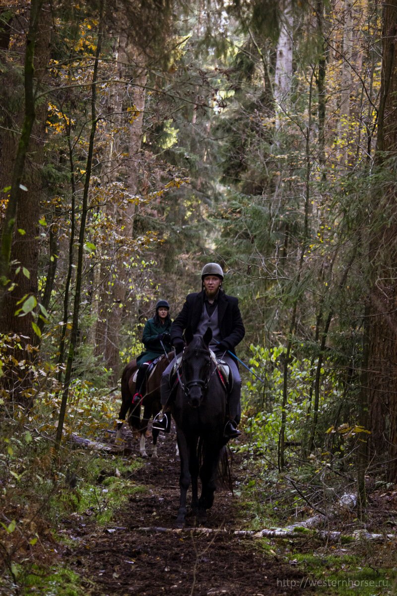 Фото сделано нами. 5