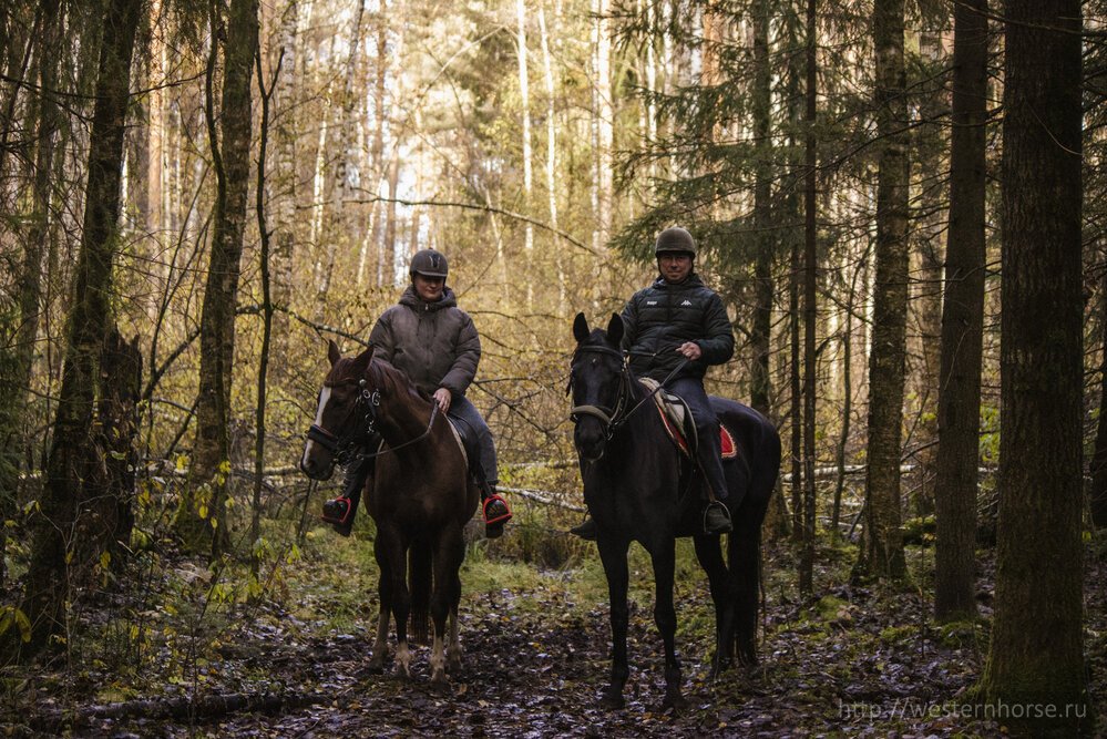 Фото сделано нами. 6