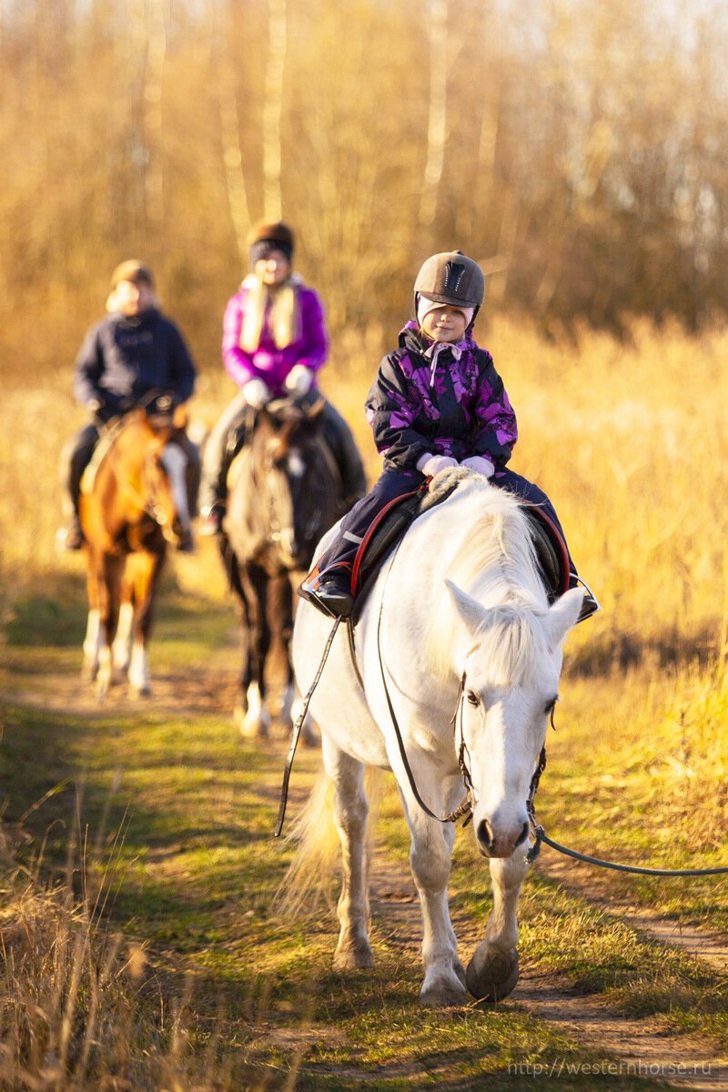 Фото сделано нами. IMG_8008