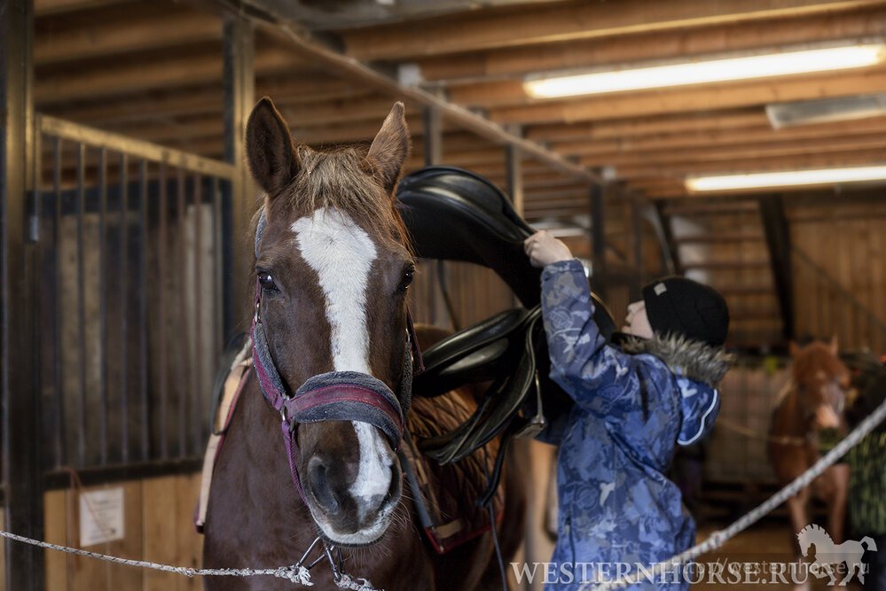 Фото сделано нами. 10