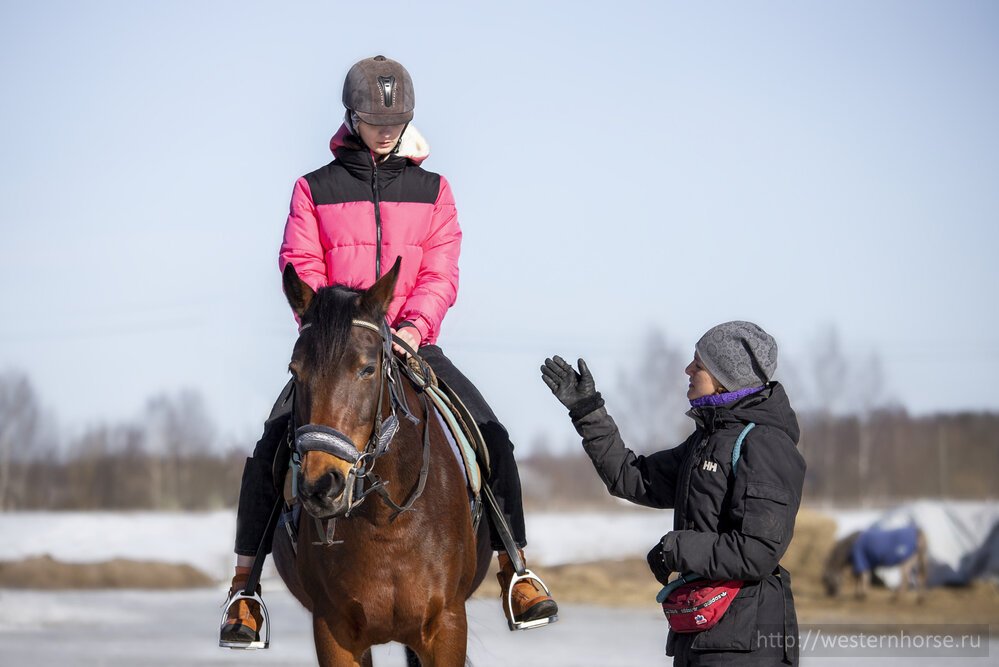 Фото сделано нами. (25)