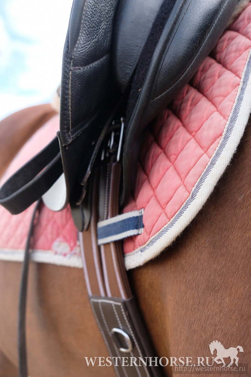 Фото сделано нами. jKOLIoNzWas