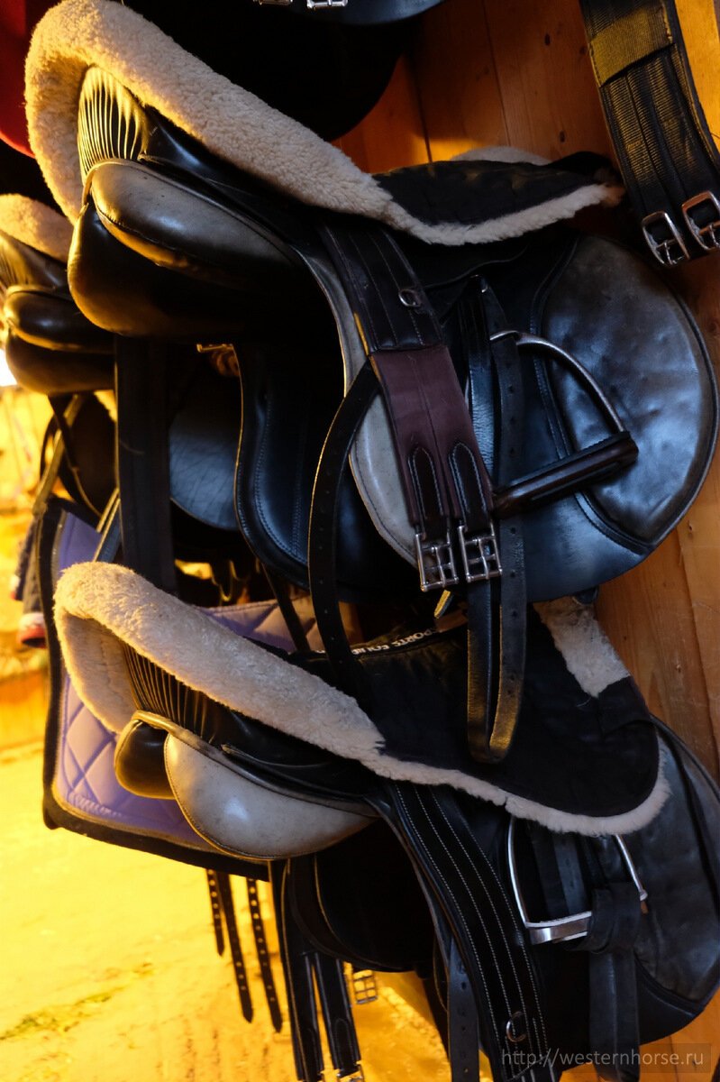 Фото сделано нами. RYL991zjPto