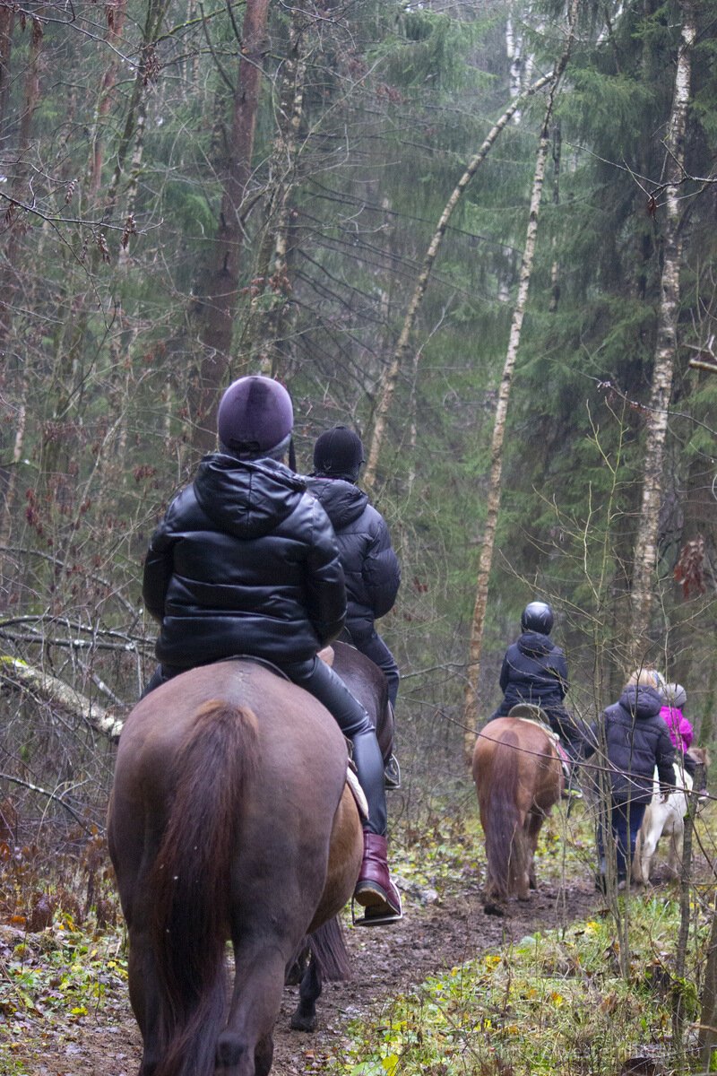 Фото сделано нами. 96