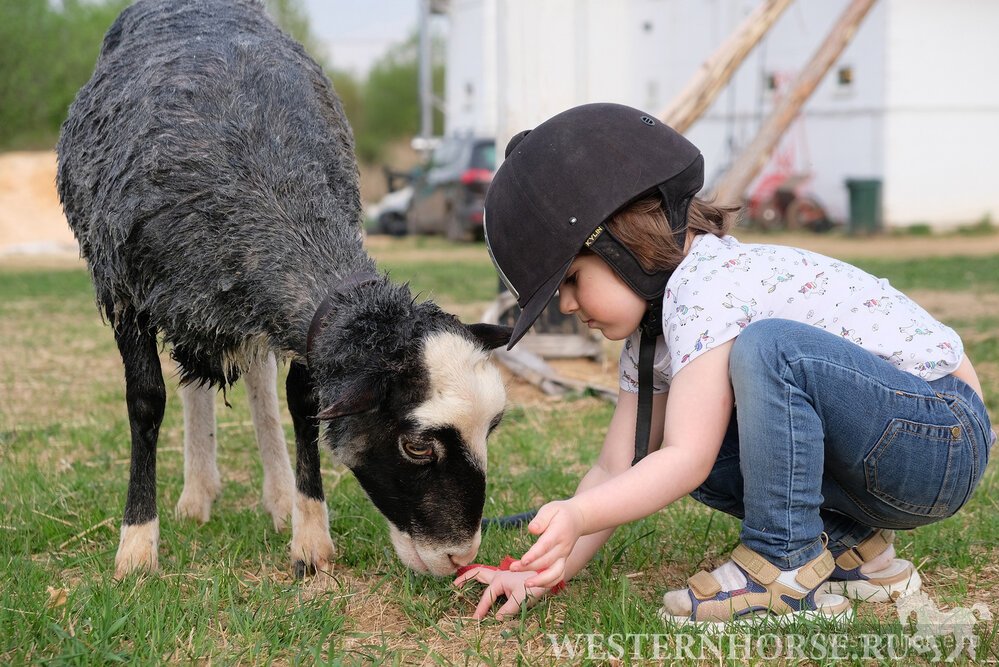 Фото сделано нами. BR0Mt3s8Z8w