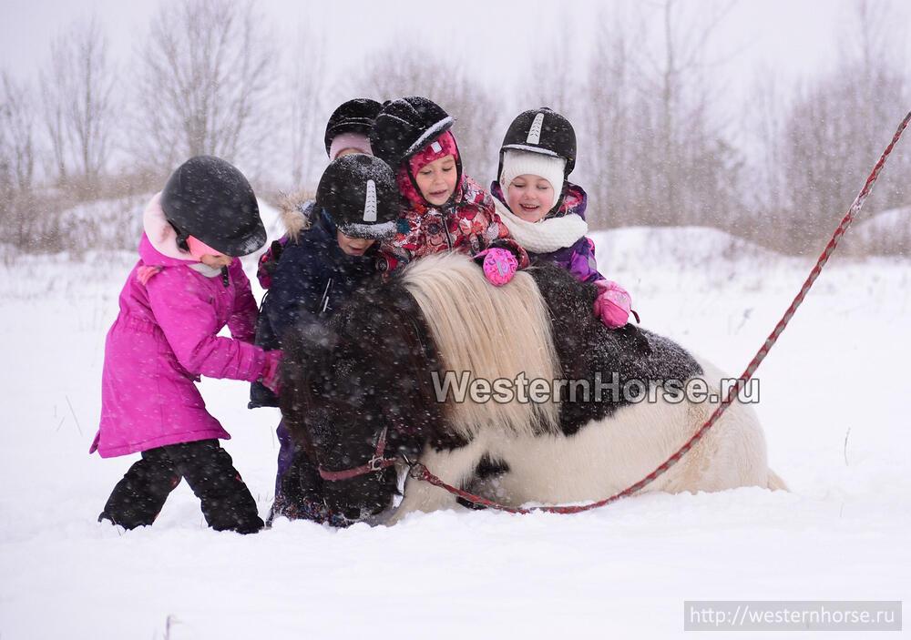 Фото сделано нами. EoF7BKO4VEM