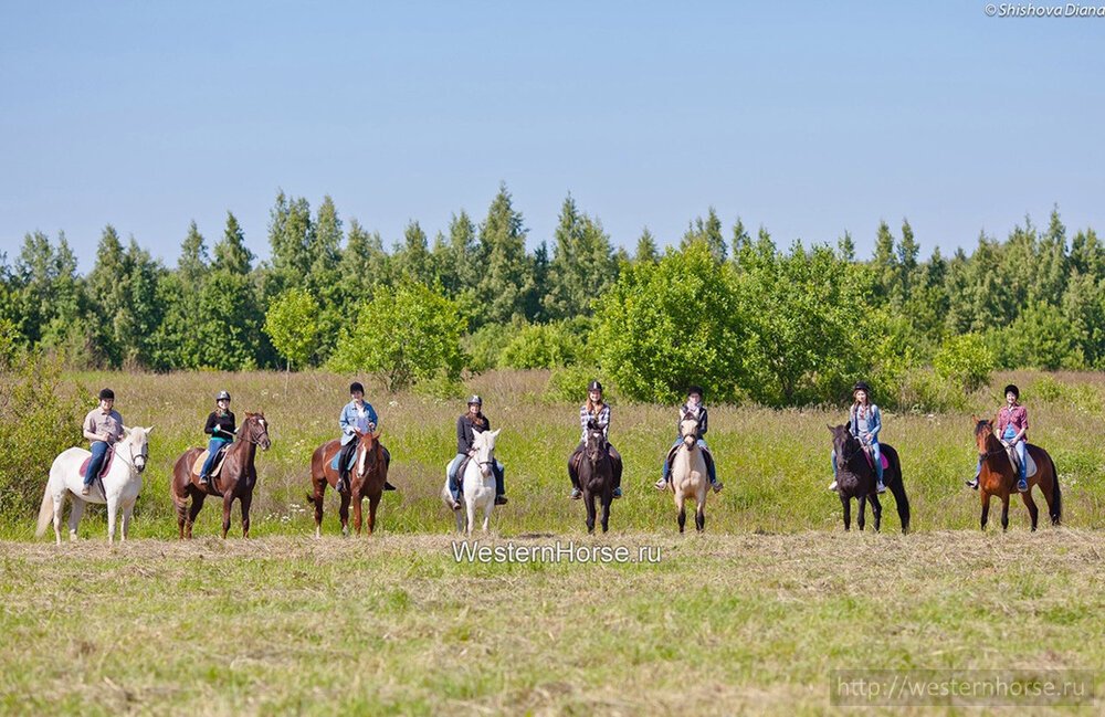 Фото сделано нами. 0kNuvspMkwQ