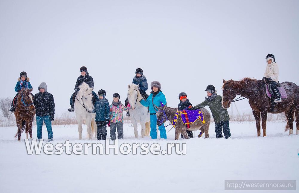 Фото сделано нами. 9Sedh-dHPQw