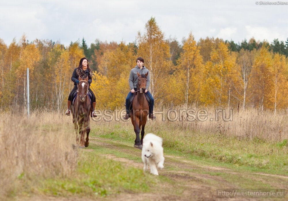 Фото сделано нами. zeyxHbjCMnGhvdtU6ScC9dHIaa9_c_8FOQtPhbRiQVvE8o2VpLdqckVobUushRAqoO_NUyFSkbnqjP0WG9P3djzU