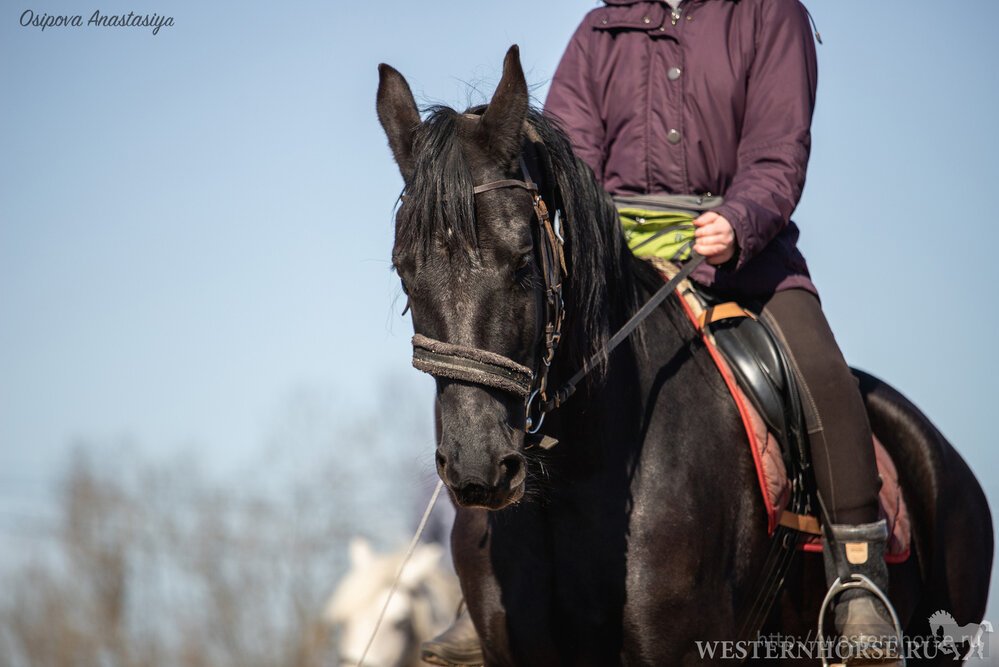 Фото сделано нами. 1