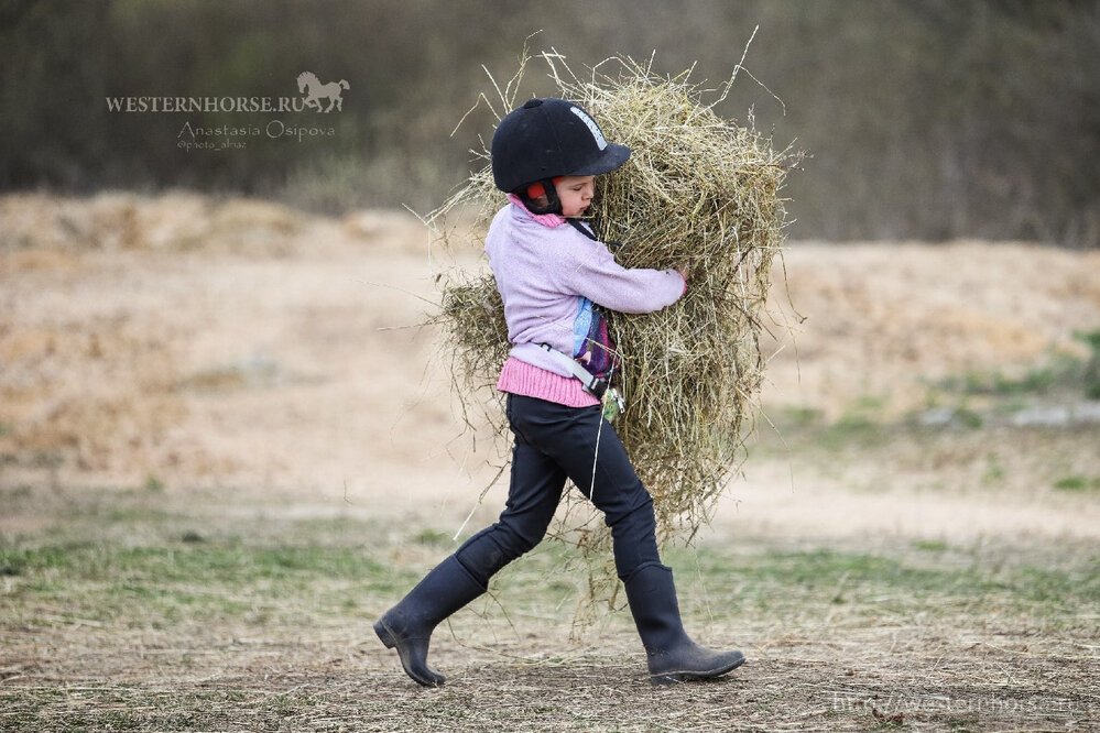 Фото сделано нами. 1O9M37LKo7Q