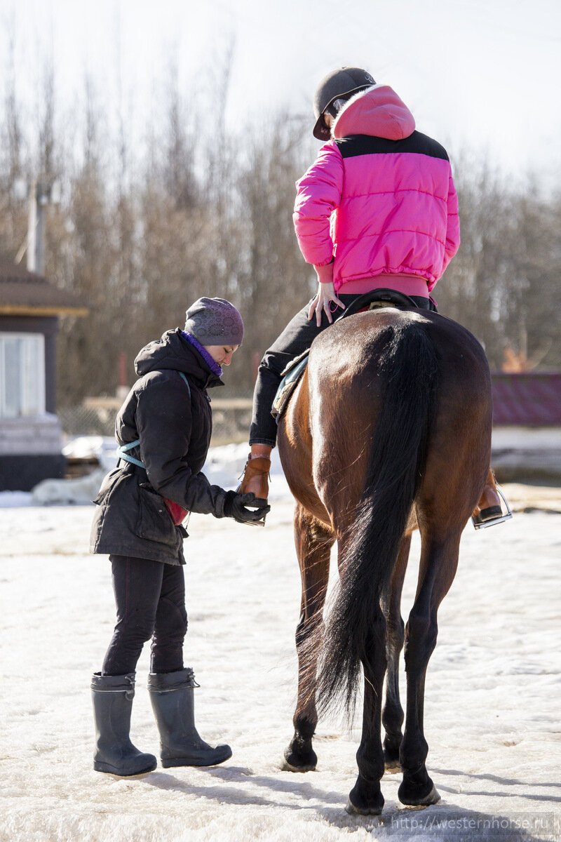 Фото сделано нами. (24)