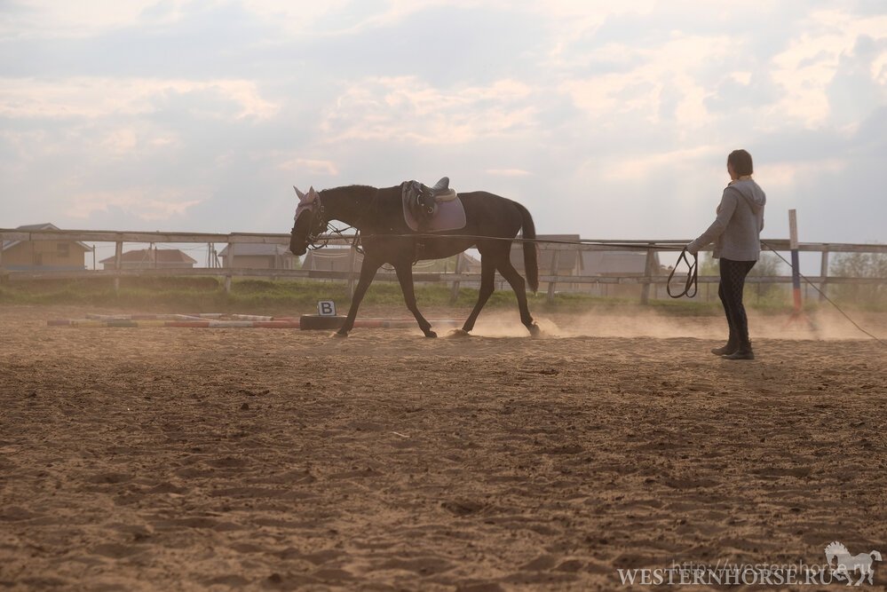 Фото сделано нами. 8