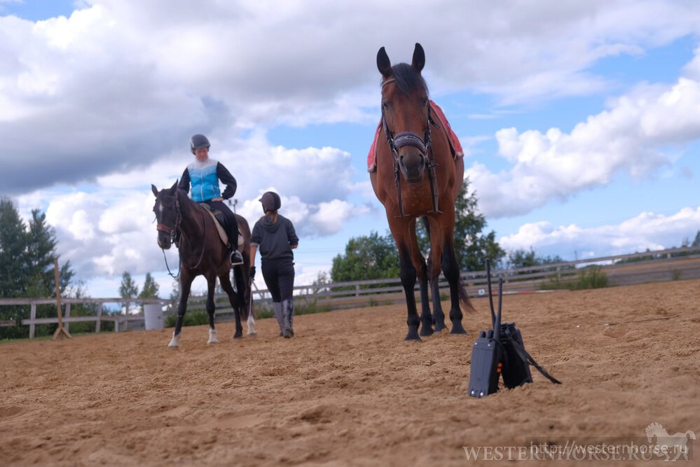Фото сделано нами. WHRU9363
