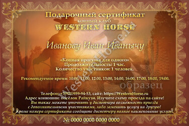 WesternHorse5