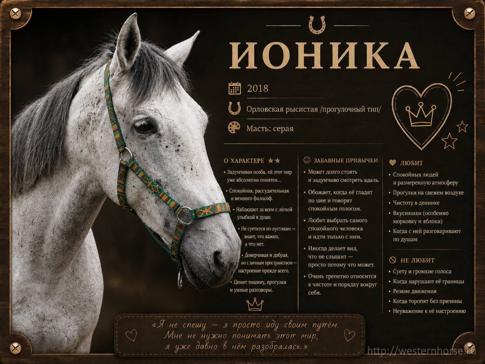 Фото сделано нами. Ионика