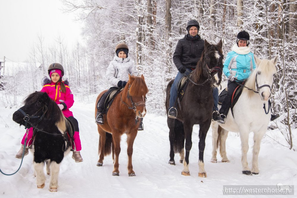 Фото сделано нами. 10