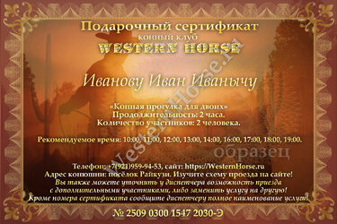 WesternHorse8