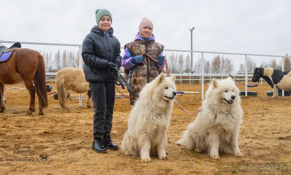 Фото сделано нами. 01
