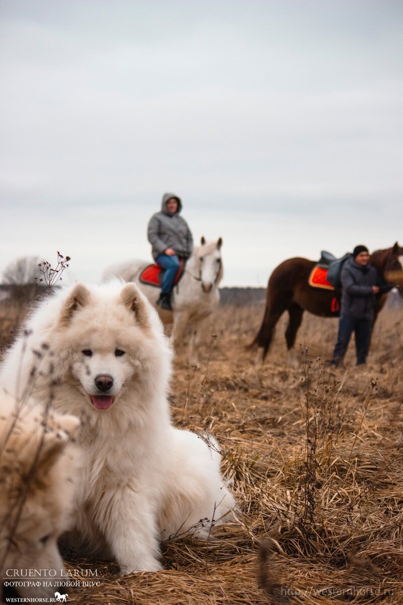 Фото сделано нами. 031825_145