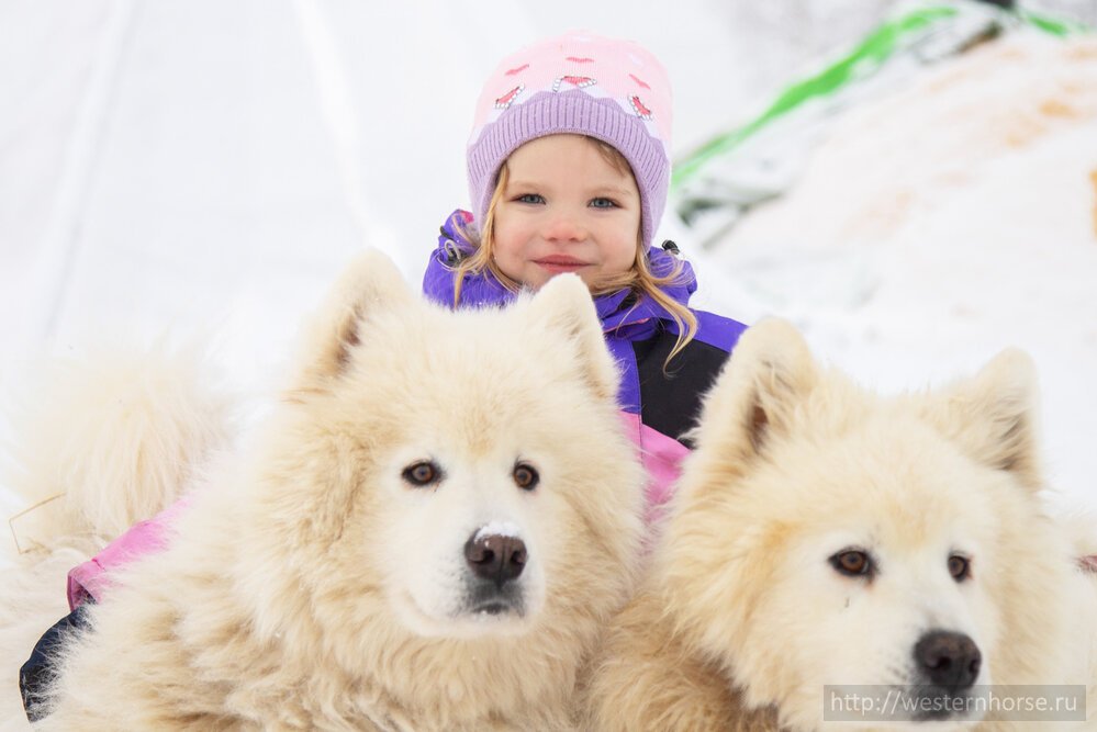 Фото сделано нами. IMG_3136