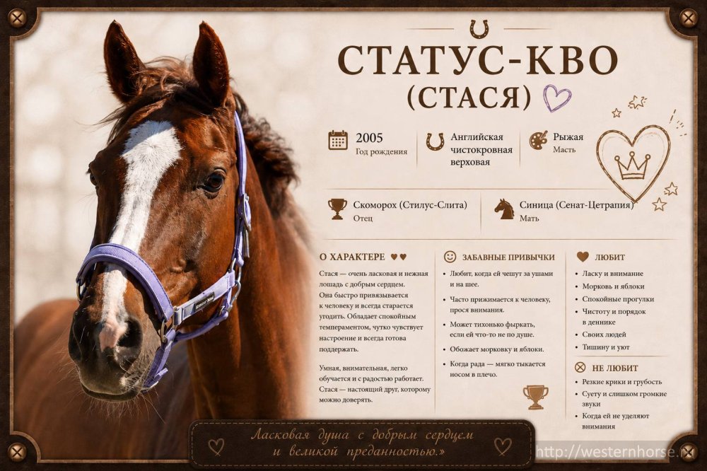 Фото сделано нами. Статус-Кво