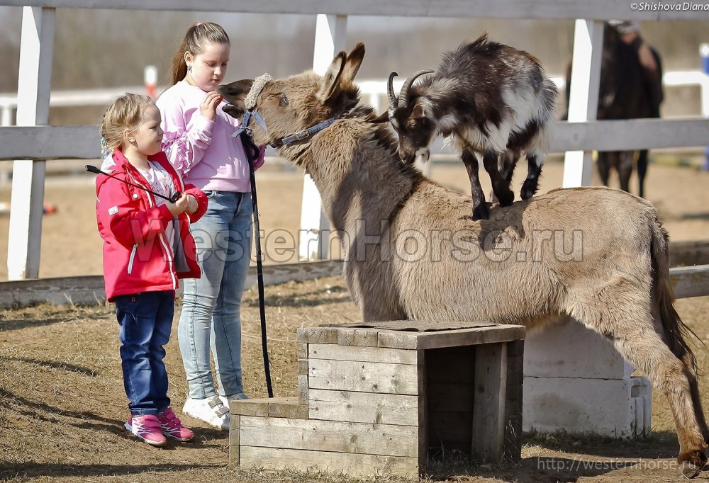 Фото сделано нами. 