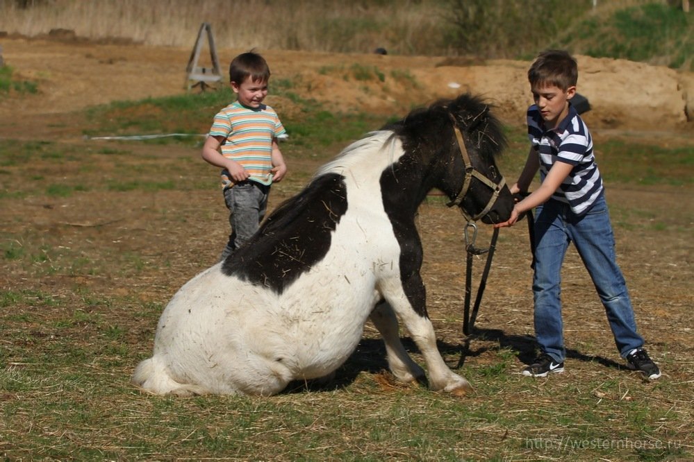 Фото сделано нами. 