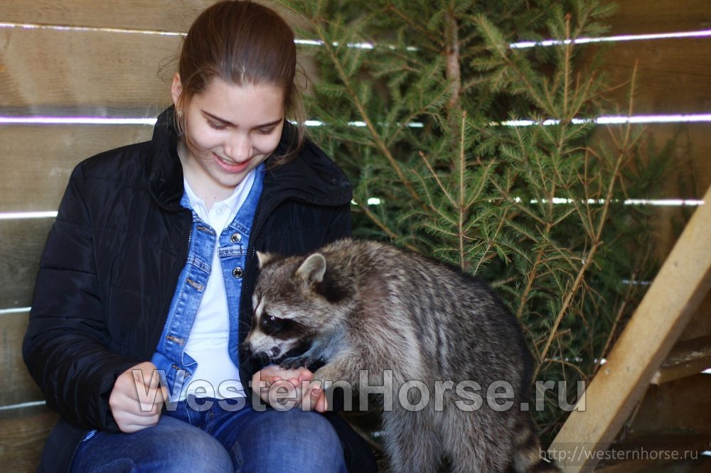 Фото сделано нами. 